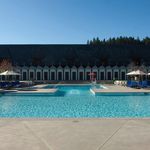 The pool at the Coppola Winery